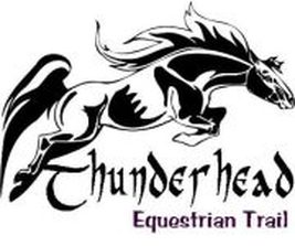 Thunderhead Logo